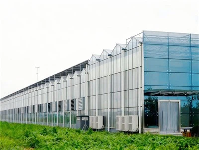 Rastlinjak z jekleno konstrukcijo