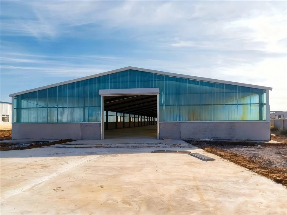 steel-structure-poultry-house-exterior-newly-built